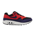 Nike Air Max 1 ACG Dark Shadow