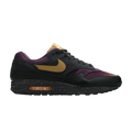 Nike Air Max 1 Pro Purple Fade