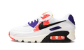 AIR MAX 90 MNS WMNS "Brushstroke"