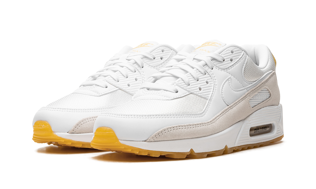 Air Max 90 "Frank Rudy"