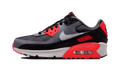 AIR MAX 90 (GS) "BLACK COOL GREY BRIGHT CRIMSON PHOTON DUST (GS)"