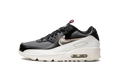 Air Max 90 LTR GS