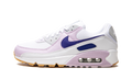 AIR MAX 90 WMNS