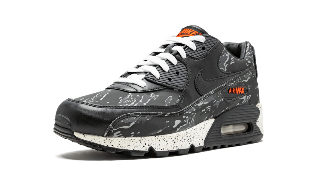 Air Max 90 Premium "Atmos"