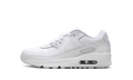 Air Max 90 GS "White Metallic Silver"