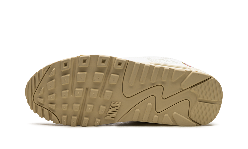 AIR MAX 90 MNS WMNS "The Future is Equal"