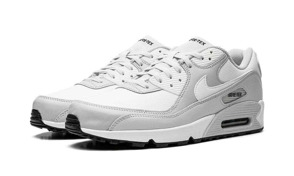 Air Max 90 "Gore-Tex"