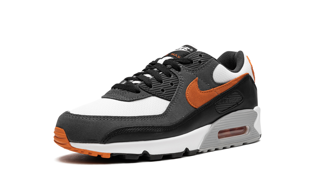 Air Max 90 "Starfish"