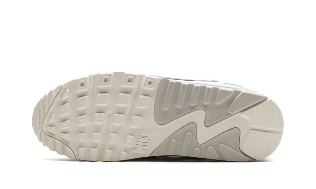 Air Max 90 Futura WMNS "Give Her Flowers"